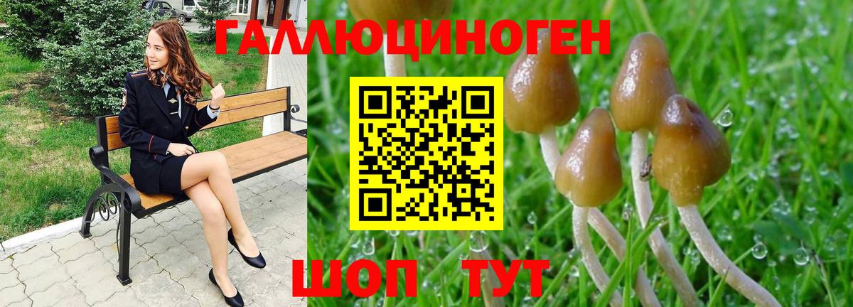Галлюциногенные грибы Cubensis Чебаркуль