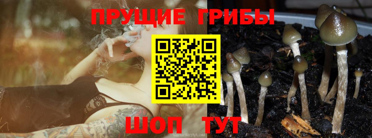Псилоцибиновые грибы ЛСД  Вход с VPN  Чебаркуль 